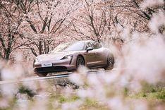 3N6A9243 拷贝.jpg