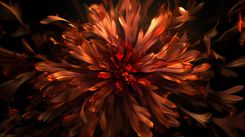 GEL-TEST-03.jpeg