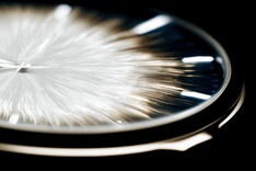 digital_luxury_group_97215_abstract_macro_shot_of_luxury_watc_896450ae-6fb1-481e-b0d8-78a2f30143b1_3.png